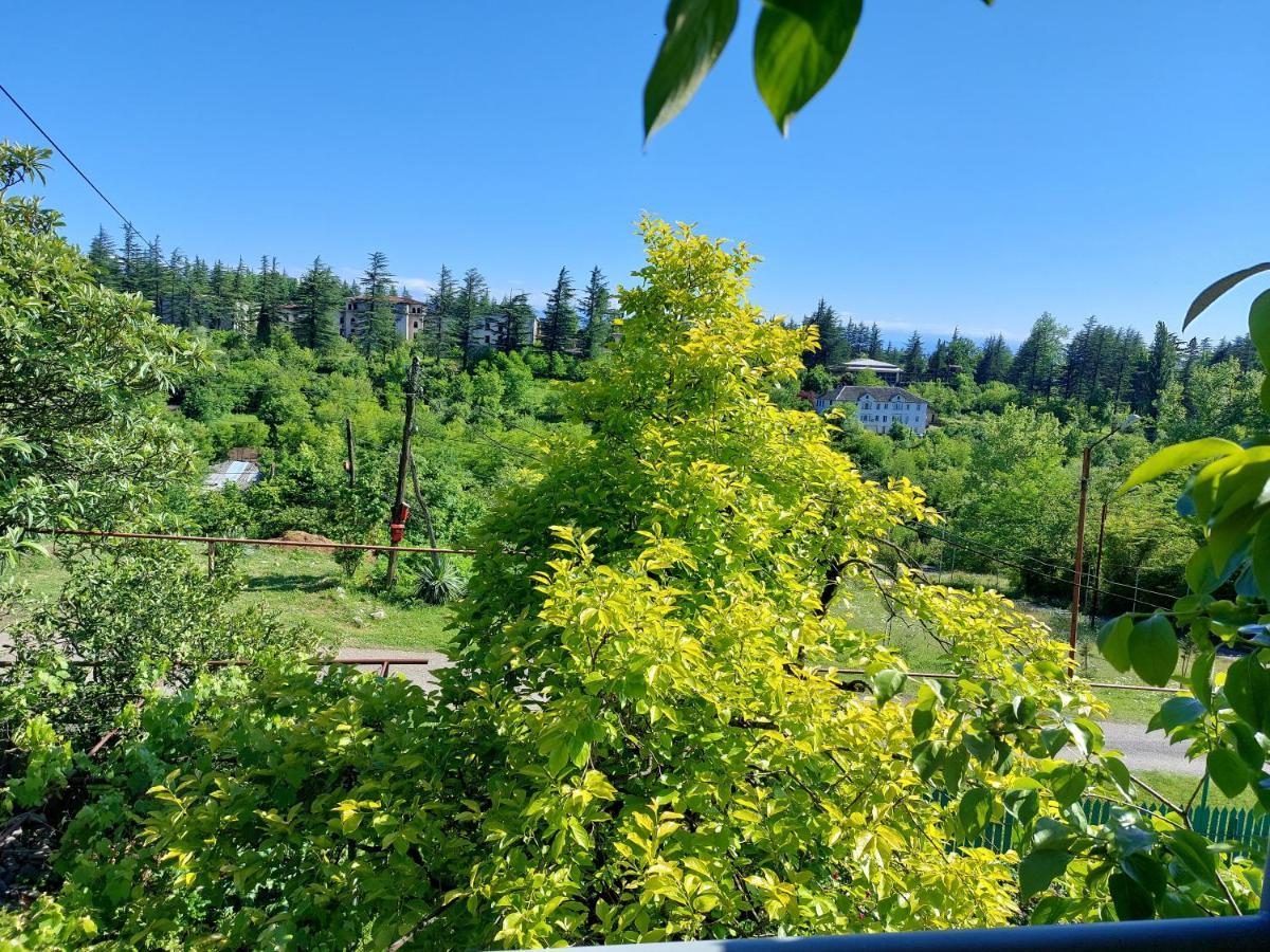 Lakeside Green Balcony Home Tskaltubo Bagian luar foto